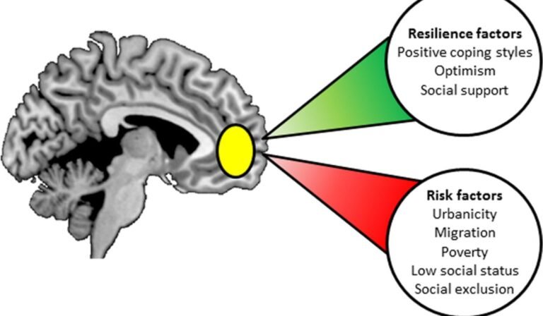 Rewiring for Resilience: Unveiling How Therapy Changes Your Brain and Cultivates Lasting Positive Shifts