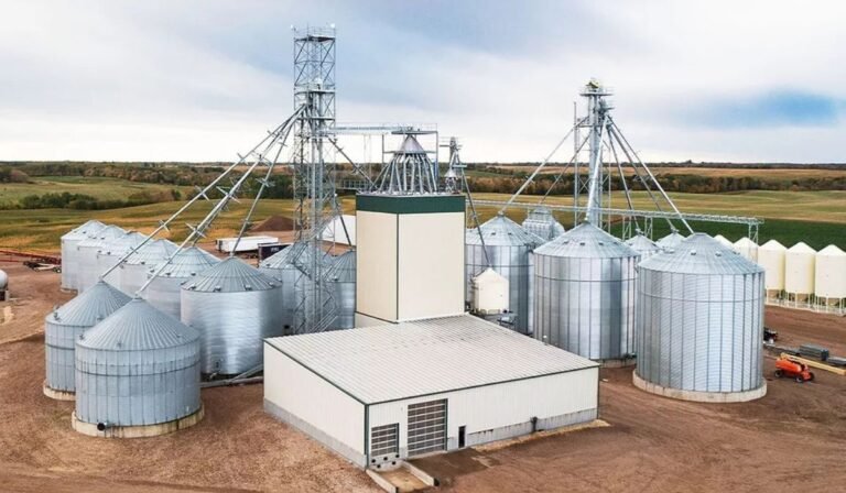 Innovations in Feed Mill Equipment: Enhancing Efficiency and Sustainability