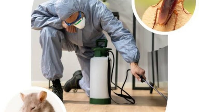A Season-By-Season Home Pest Prevention Plan A Season-By-Season Home Pest Prevention Plan